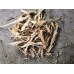 DS300 double shaft single motor type shredder 